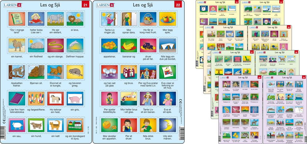 LA3 - Read and Look 21-30 (Norwegian (Nynorsk))