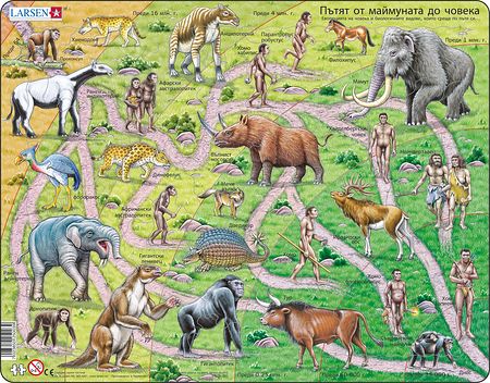 HL3 - The Road from Ape to Human
