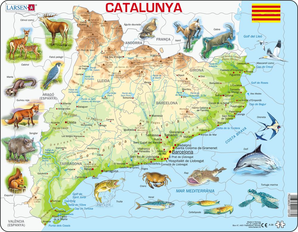 A28 - Catalonia (Catalan)
