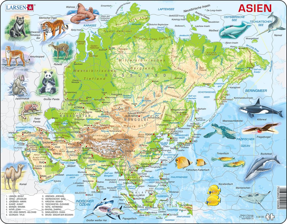 A30 - Asia Topographic Map (German)