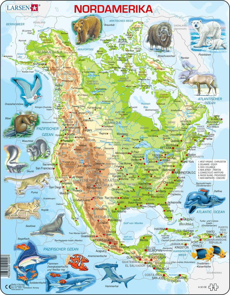 A32 - North America, Topographic map with animals (German)