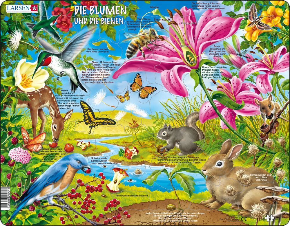 NB4 - The flowers and the Bees (German)