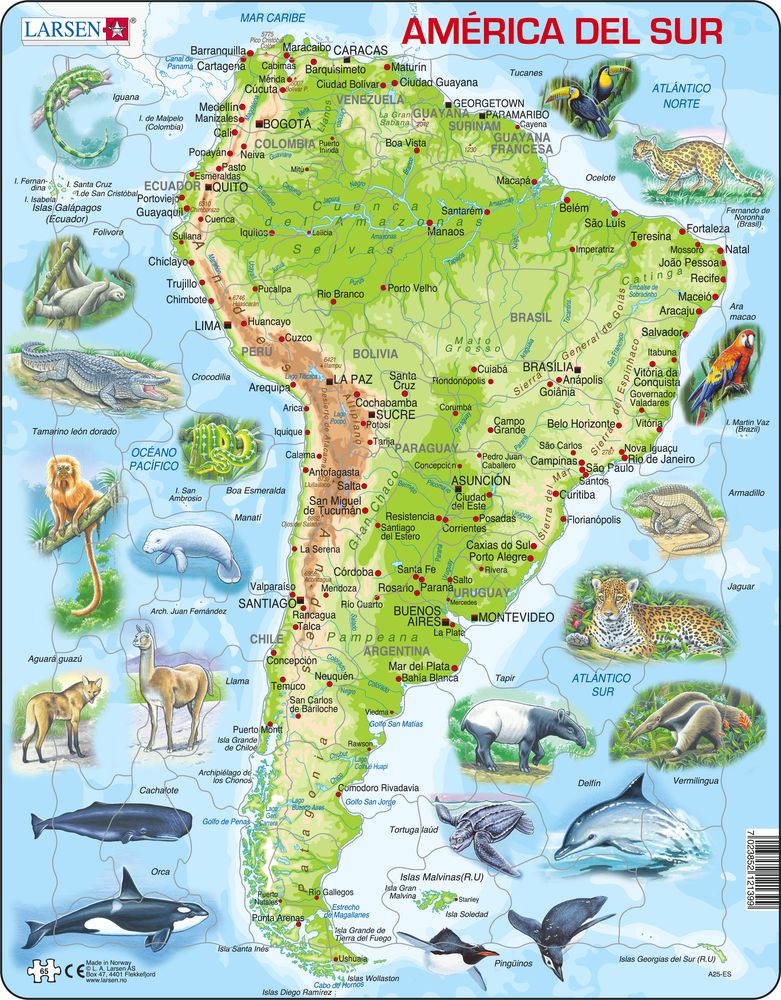 A25 - South America Topographic Map (Spanish)