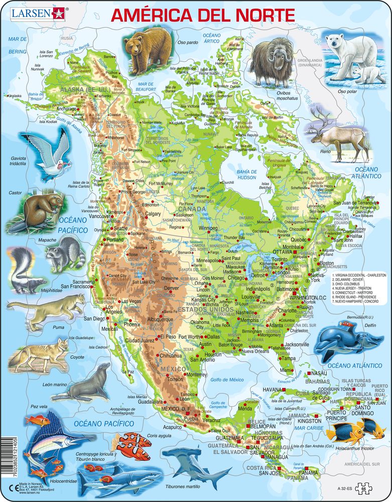 A32 - North America, Topographic map with animals (Spanish)