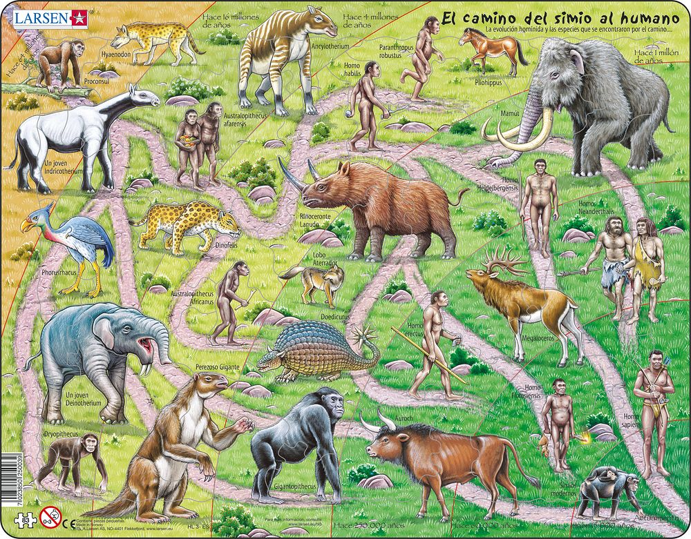 HL3 - The Road from Ape to Human (Spanish)