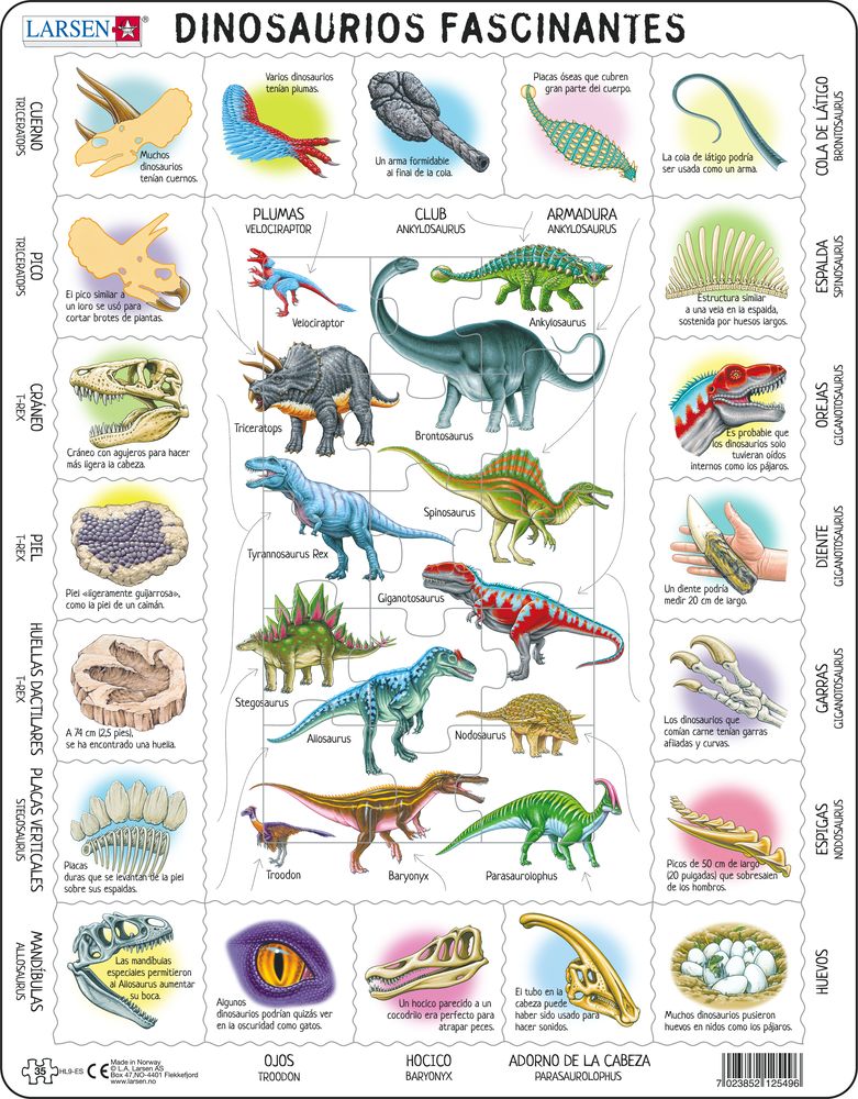 HL9 - Fascinating Dinosaurs (Spanish)