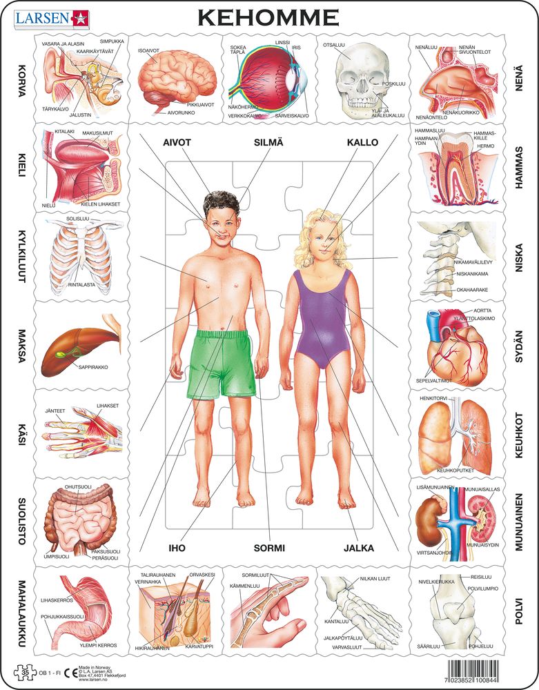 OB1 - Our Body (Finnish)