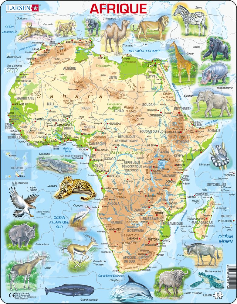 A22 - Africa Topographic Map (French)
