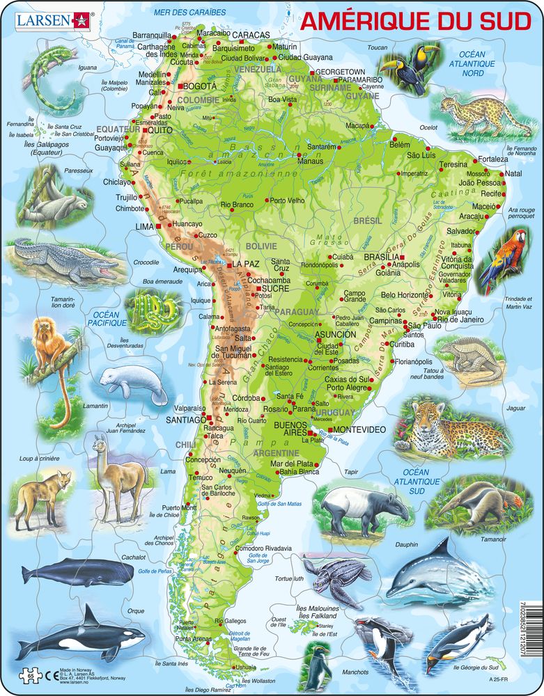 A25 - South America Topographic Map (French)
