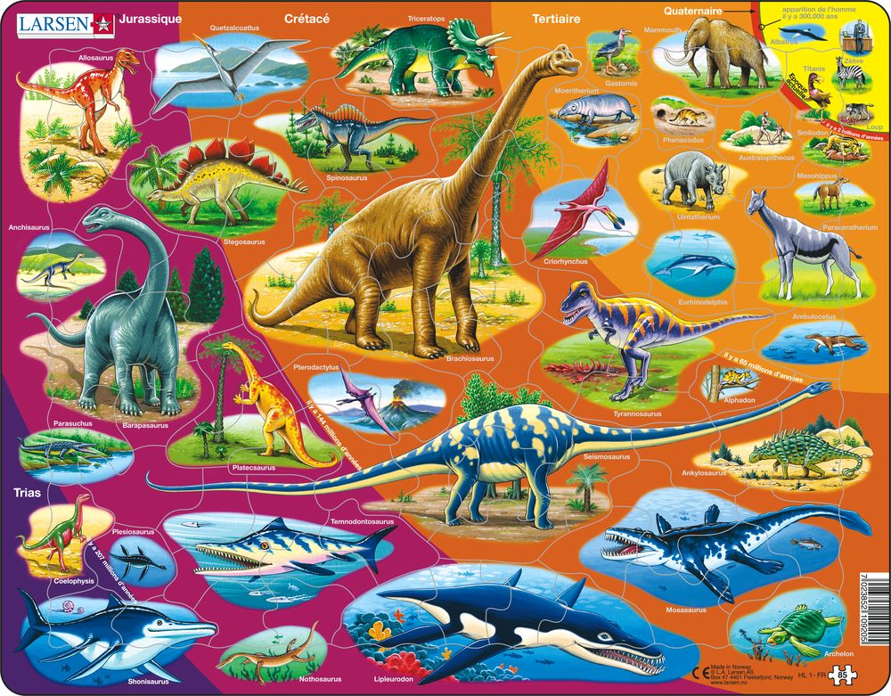 HL1 - Natural History - Triassic Period to Today (French)