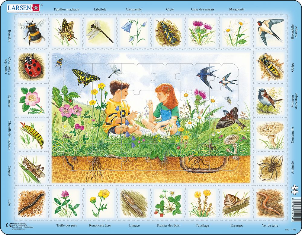 NA1 - Nature Puzzle: Field (French)