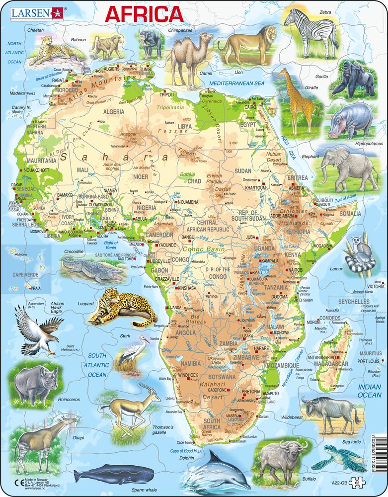 A22 - Africa Topographic Map (English)