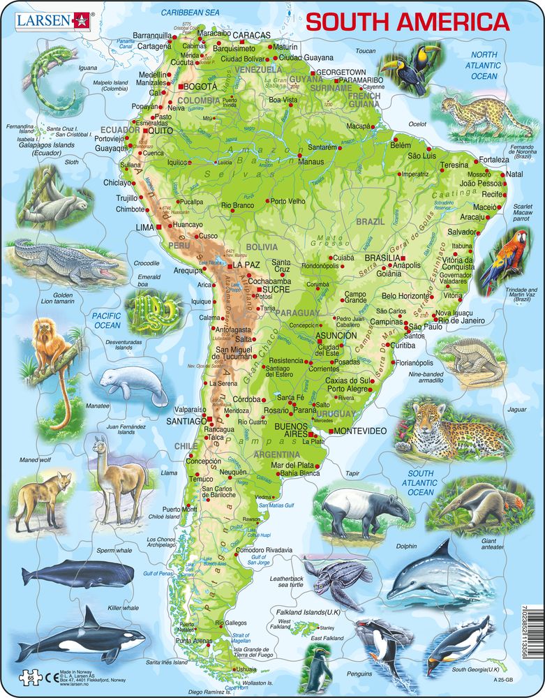 A25 - South America Topographic Map (English)