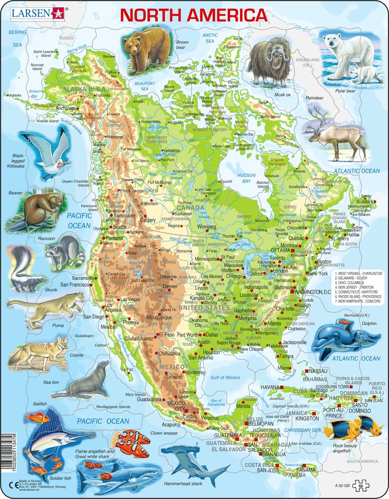A32 - North America, Topographic map with animals (English)