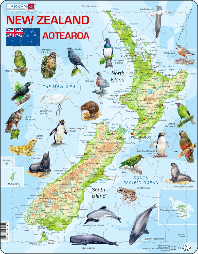 A4 - New Zealand Physical Map (English)