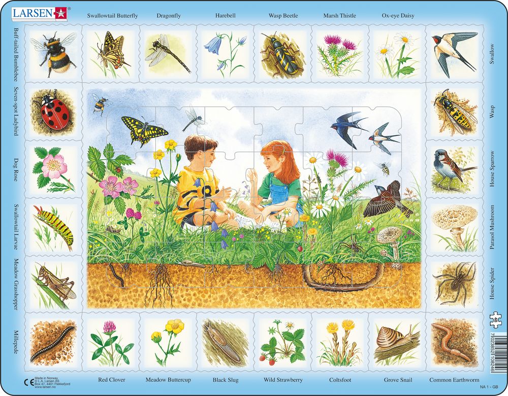NA1 - Nature Puzzle: Field (English)