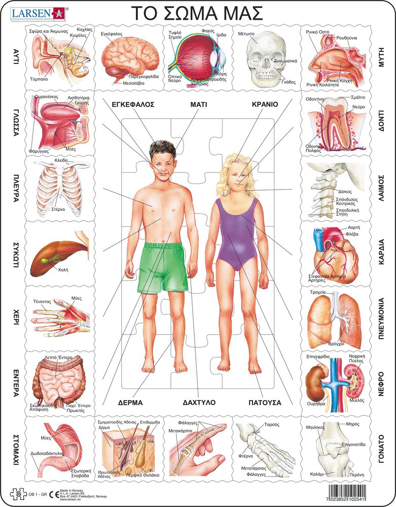 OB1 - Our Body (Greek)