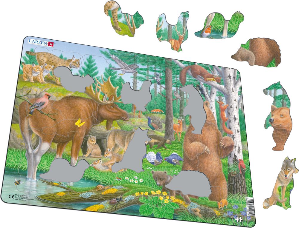 FH36 - Wildlife of the Northern Forest (Illustrative image 1)