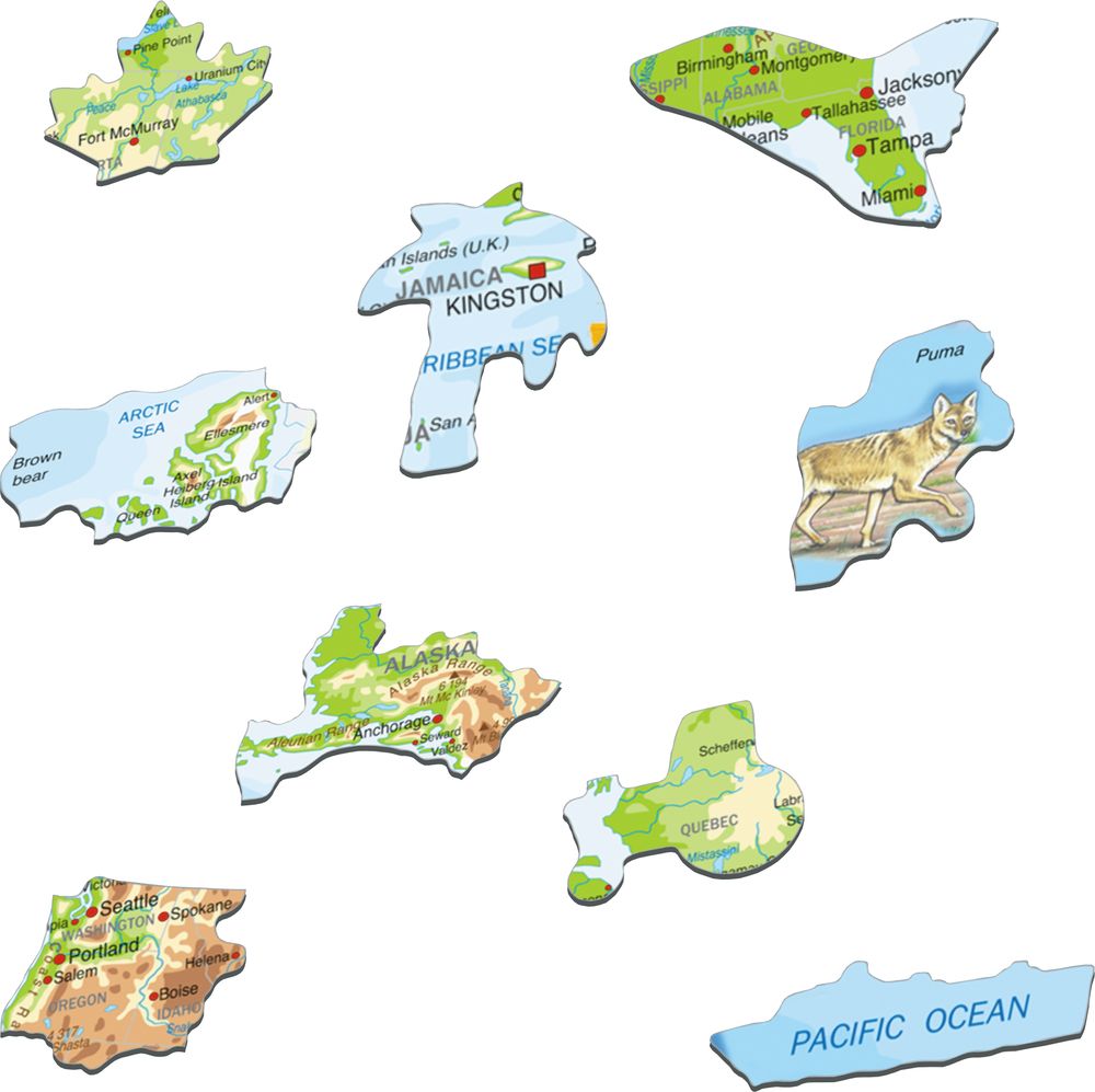 A32 - North America, Topographic map with animals (Illustrative image 2)