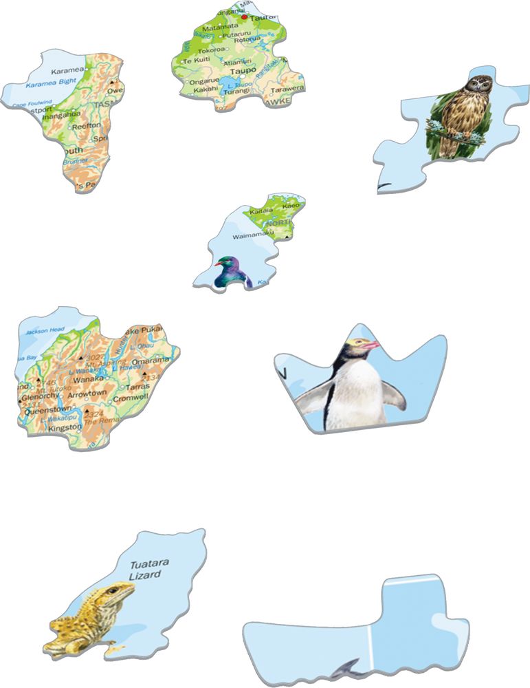 A4 - New Zealand Physical Map (Illustrative image 2)