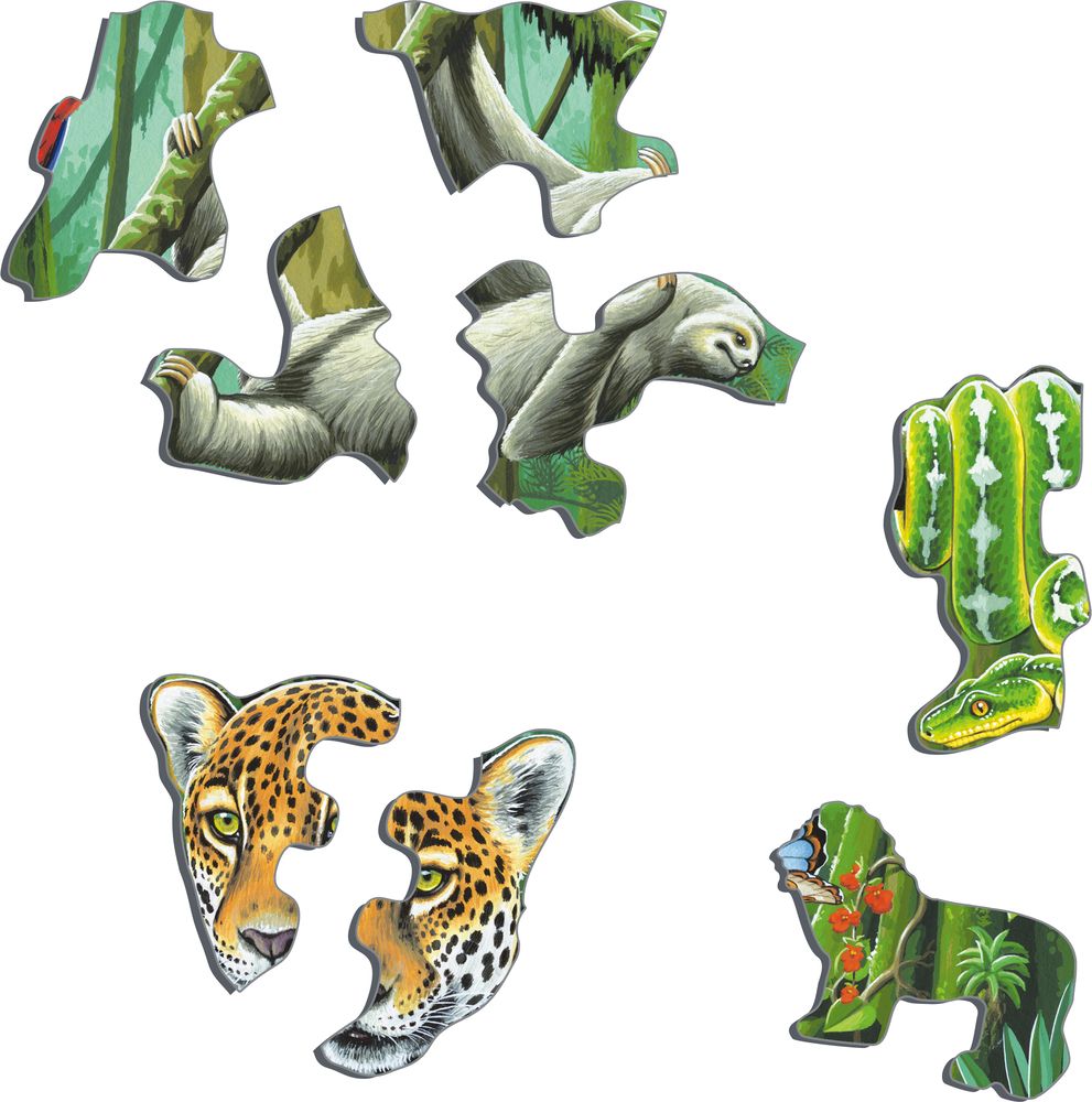 FH10 - The Lush South American Rainforest (Illustrative image 2)