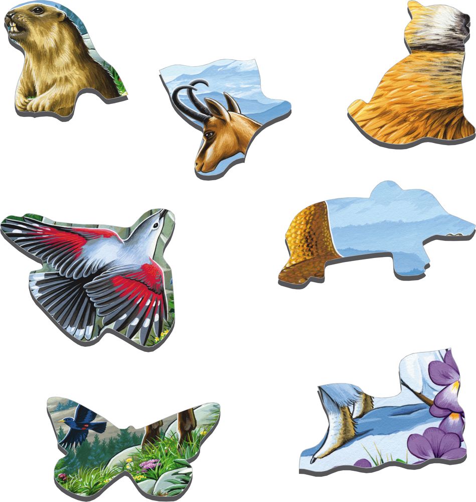 FH12 - Beautiful Scenery from the Alps (Illustrative image 2)