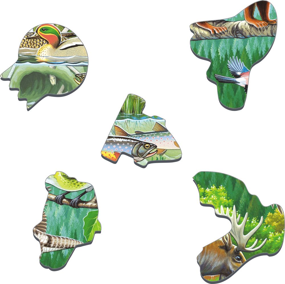 FH15 - A Summer Day in a Nordic Forest (Illustrative image 2)