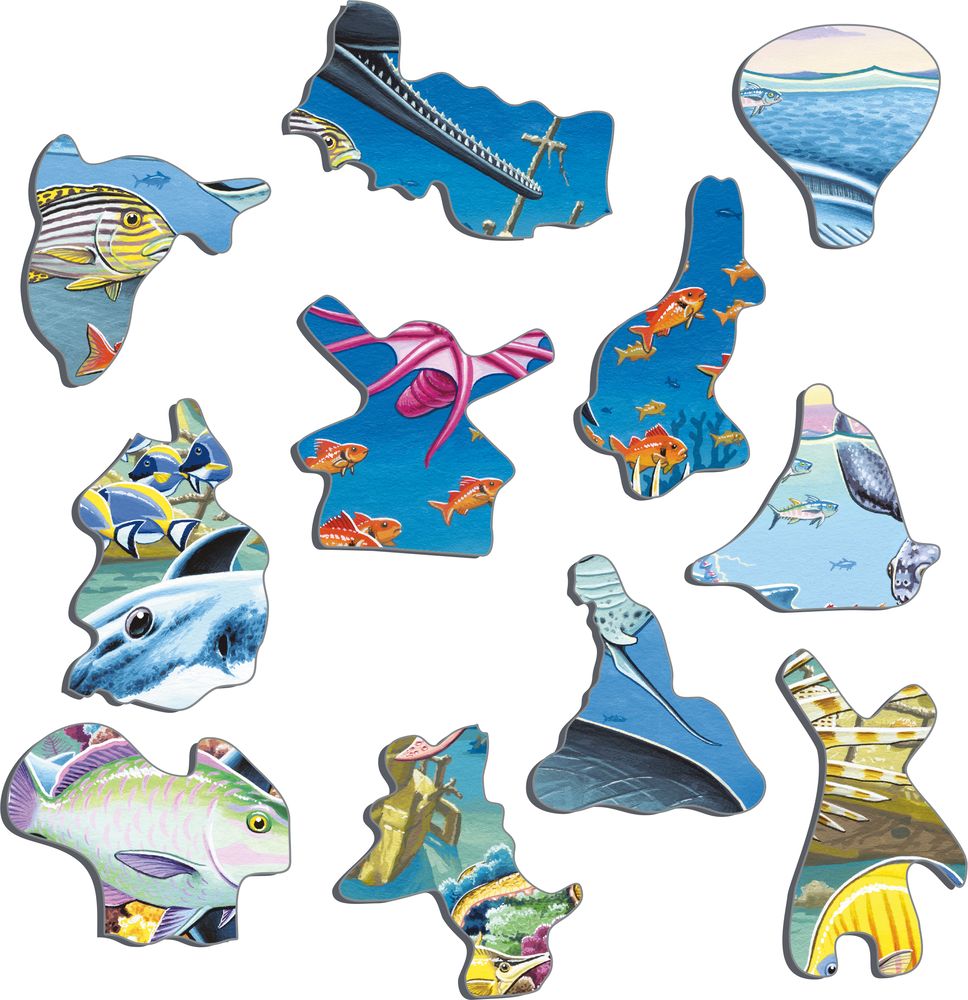 FH20 - Marine Life in the Pacific Ocean (Illustrative image 2)