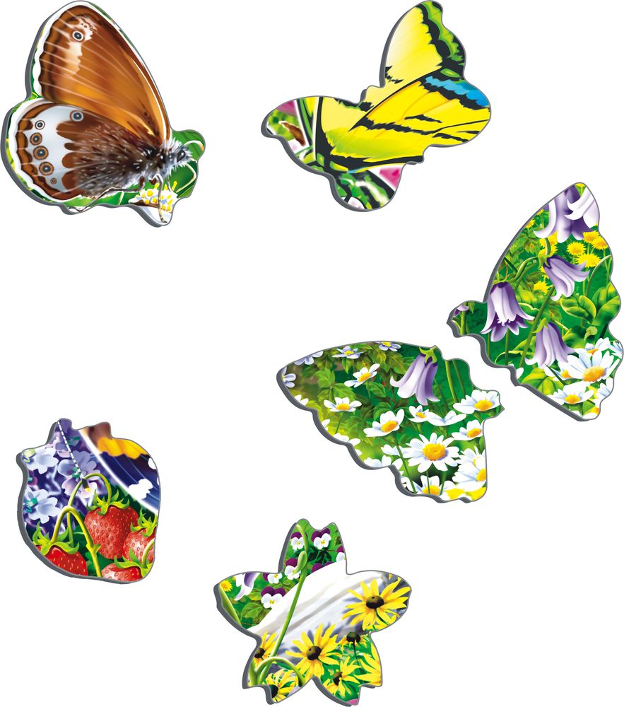 FH28 - Butterflies in a Beautiful Flower Field (Illustrative image 2)