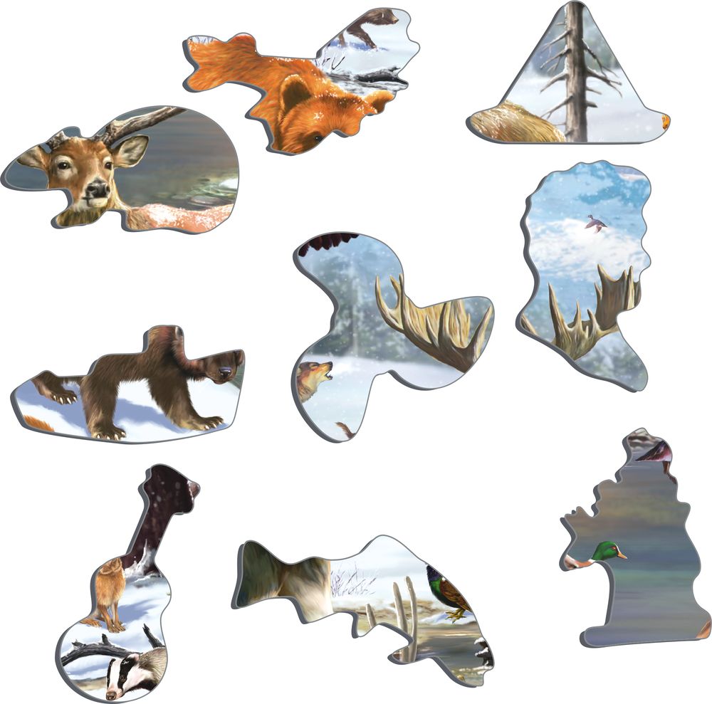 FH32 - A Winter Day in a Nordic Forest (Illustrative image 2)