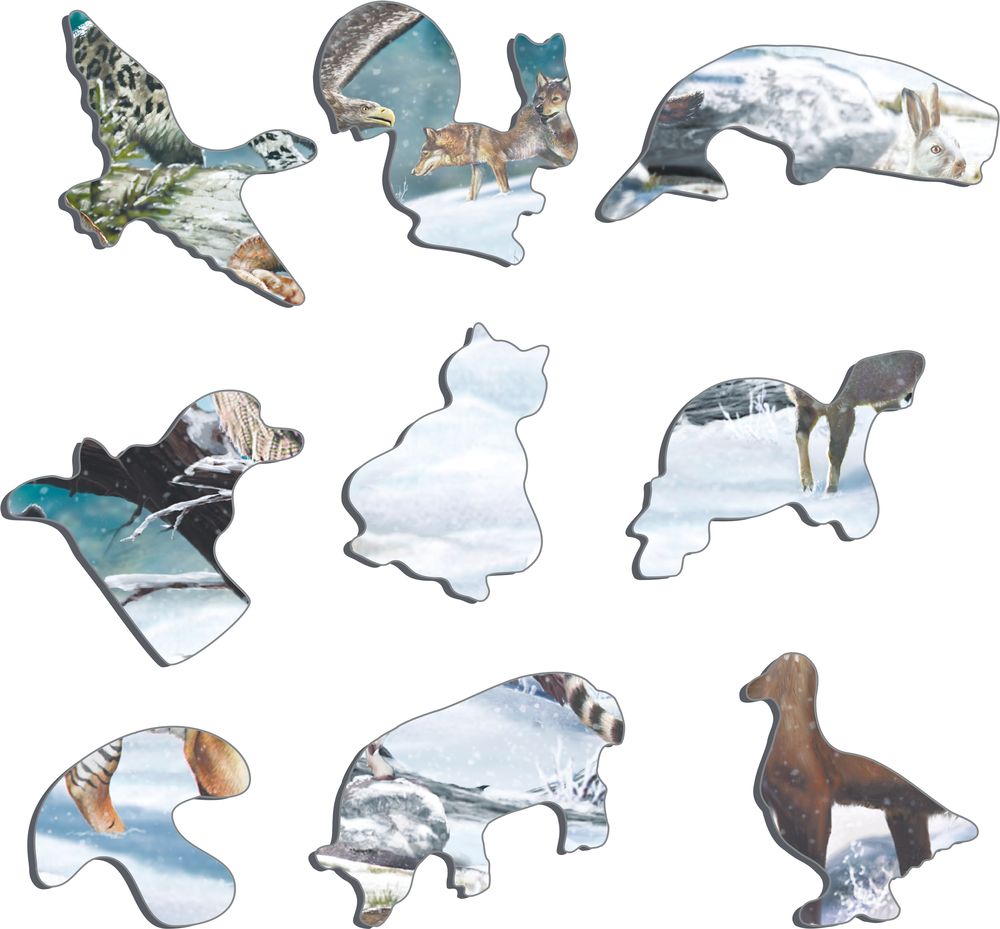 FH34 - Winter Wildlife in Siberia and Northeast Asia (Illustrative image 2)