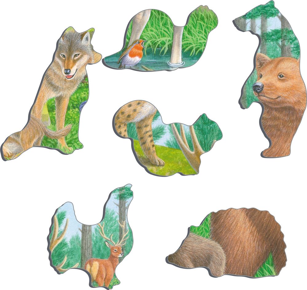 FH36 - Wildlife of the Northern Forest (Illustrative image 2)