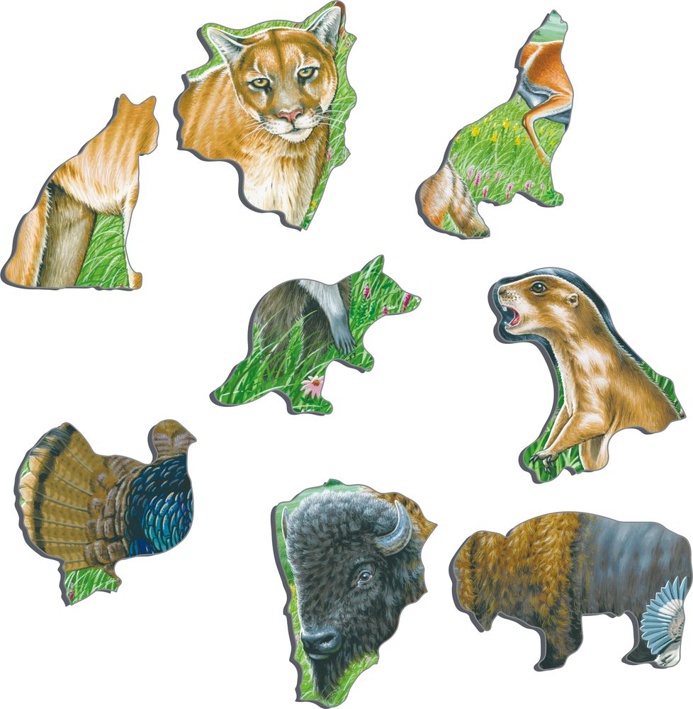 FH40 - Wildlife on the Great American Prairie (Illustrative image 2)