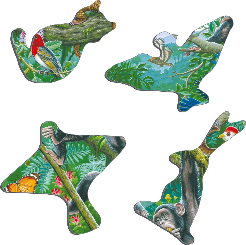 FH41 - A Dense African Rainforest (Illustrative image 2)