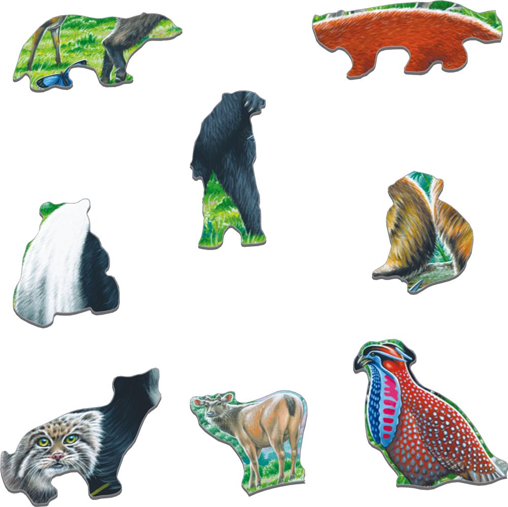 FH43 - Panda Bear Family on a China Mountain Plateau (Illustrative image 2)