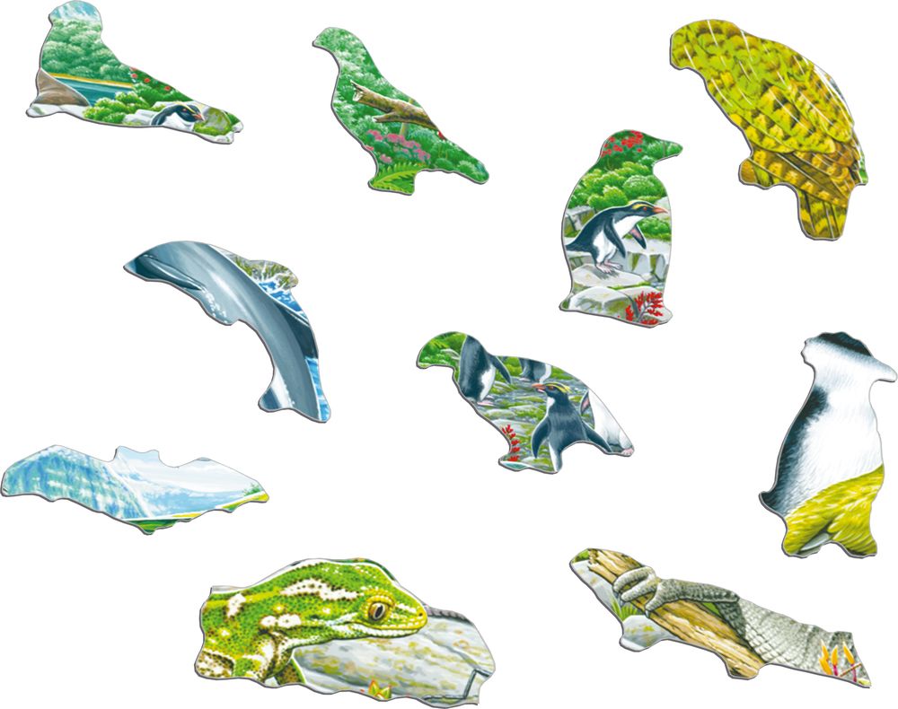 FH44 - New Zealand's Picturesque Wildlife (Illustrative image 2)