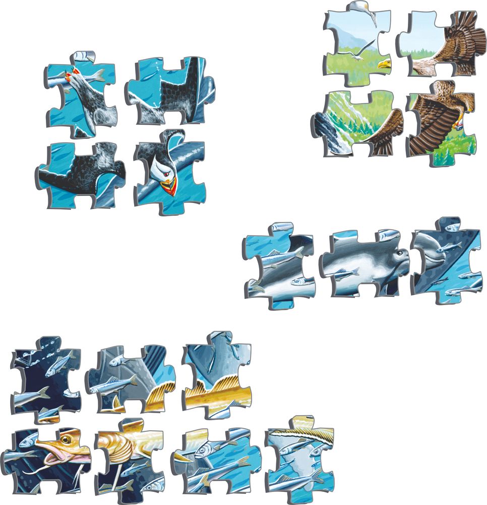 FH47 - Humpback Whales in a School of Herrings (Illustrative image 2)