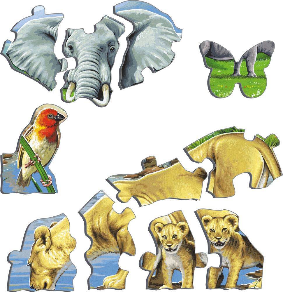 FH9 - Watering Hole on the African Savannah (Illustrative image 2)