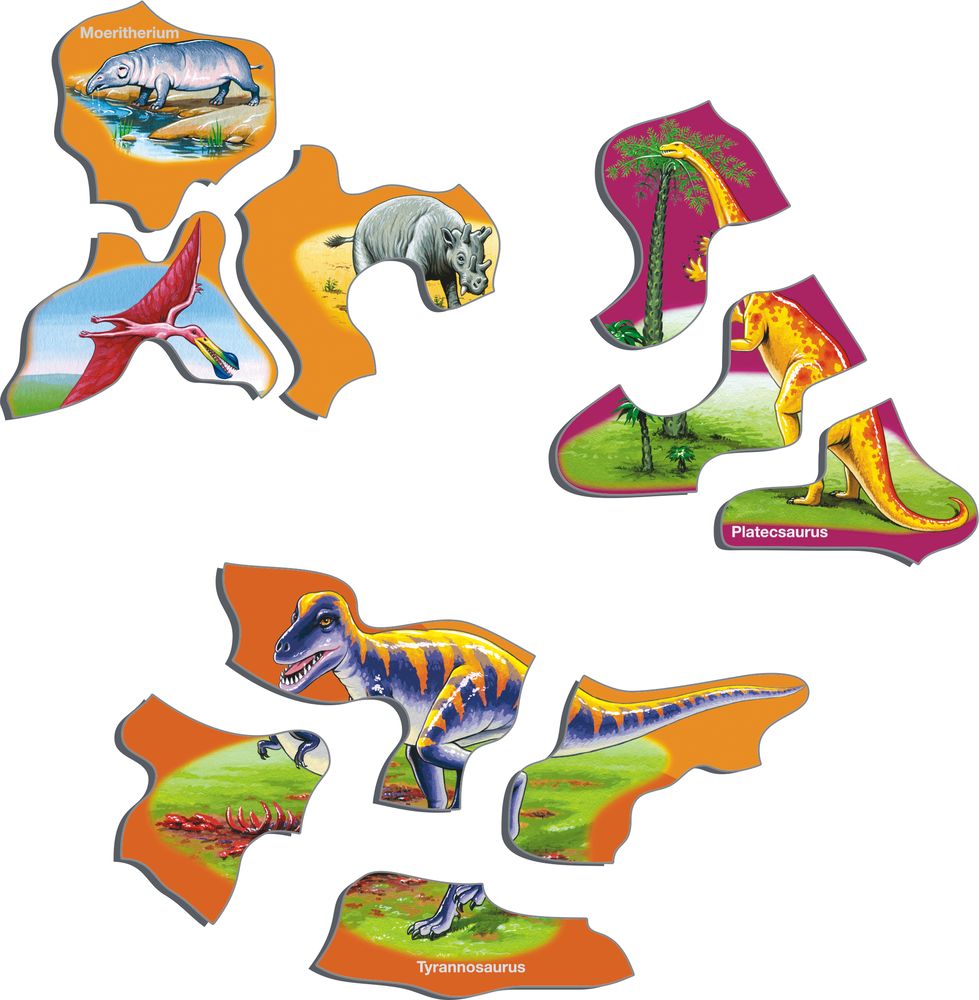 HL1 - Natural History - Triassic Period to Today (Illustrative image 2)