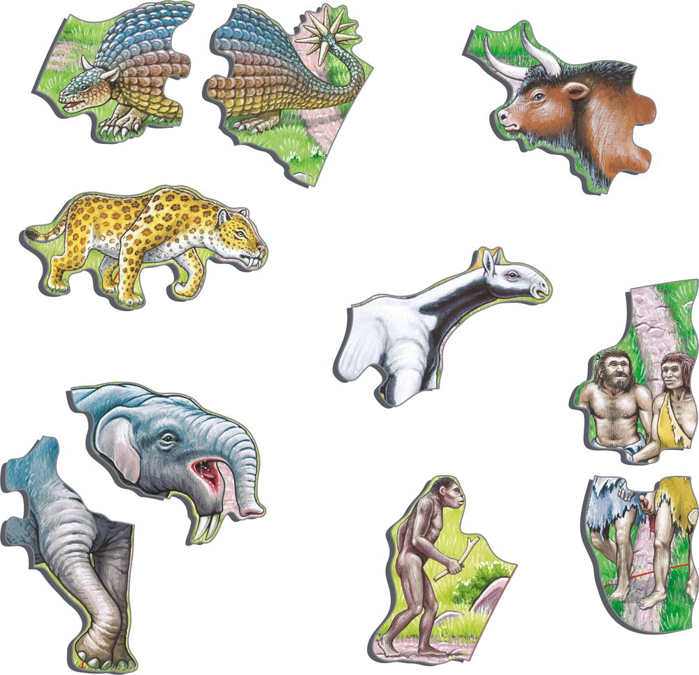 HL3 - The Road from Ape to Human (Illustrative image 2)