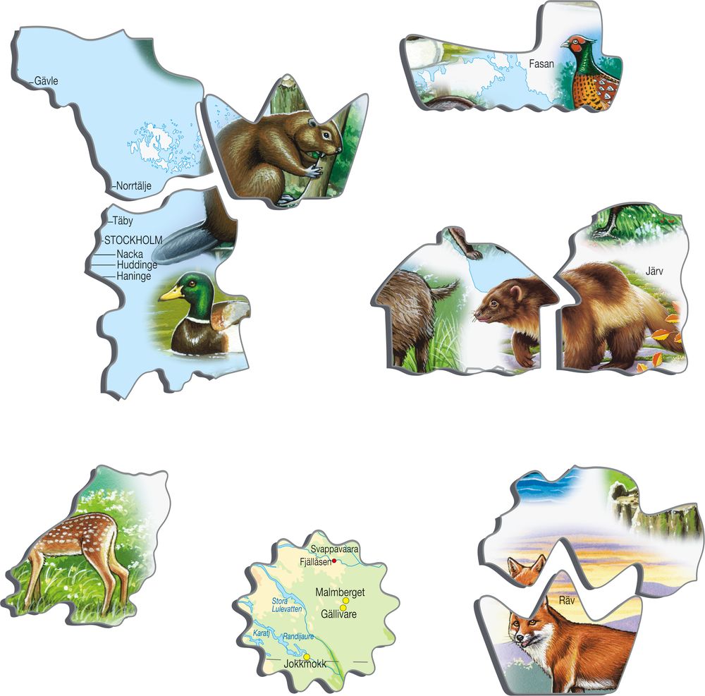 K6 - Sweden Physical Map (Illustrative image 2)