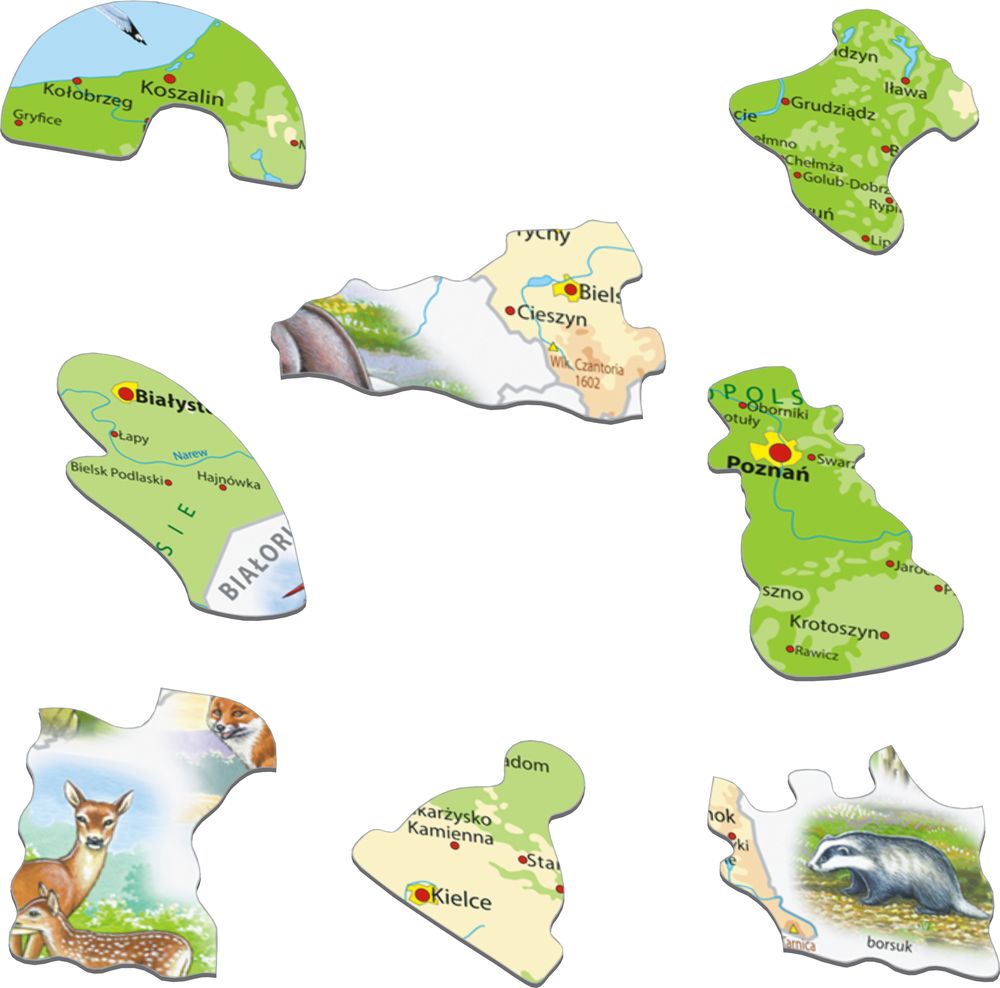 K98 - Poland Physical Map (Illustrative image 2)