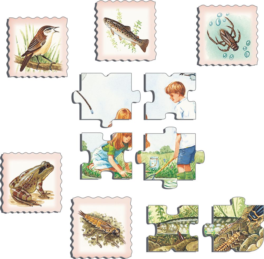 NA3 - Nature Puzzle: Pond (Illustrative image 2)