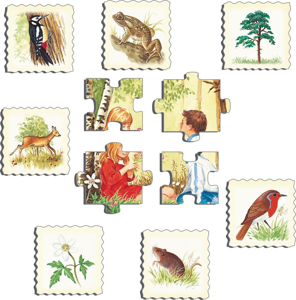NA4 - Nature Puzzle: Forest (Illustrative image 2)
