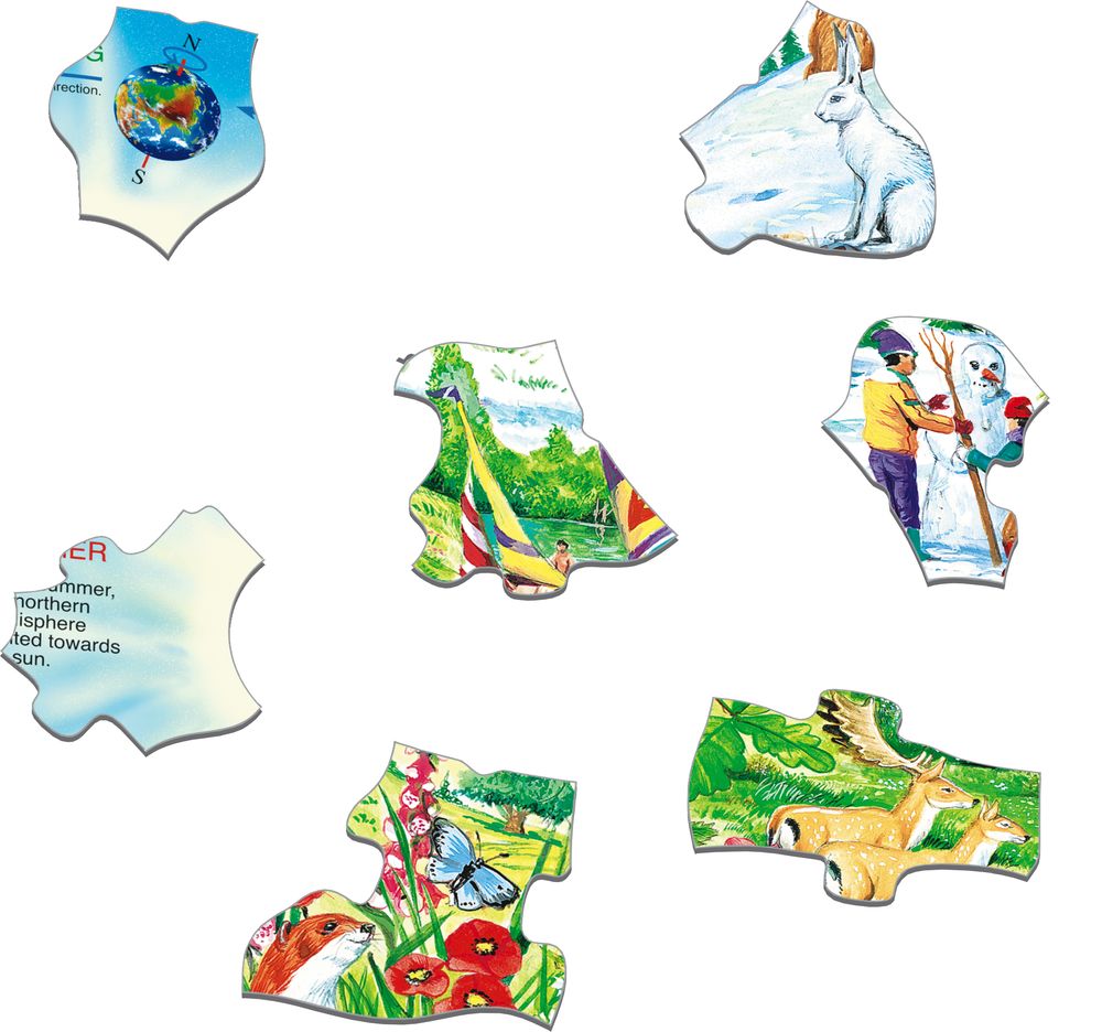 SS3 - The Seasons of the Year (Illustrative image 2)