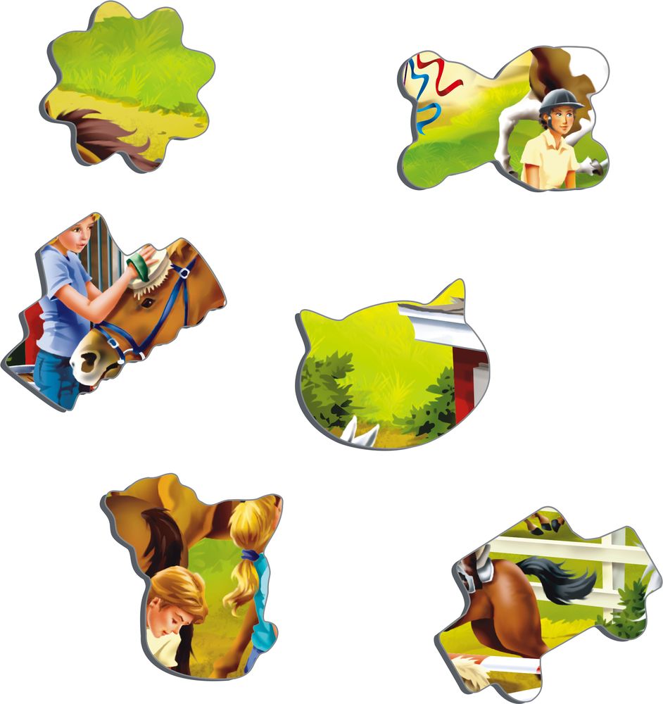 US26 - The Wide-Ranging Use and Care of Horses (Illustrative image 2)