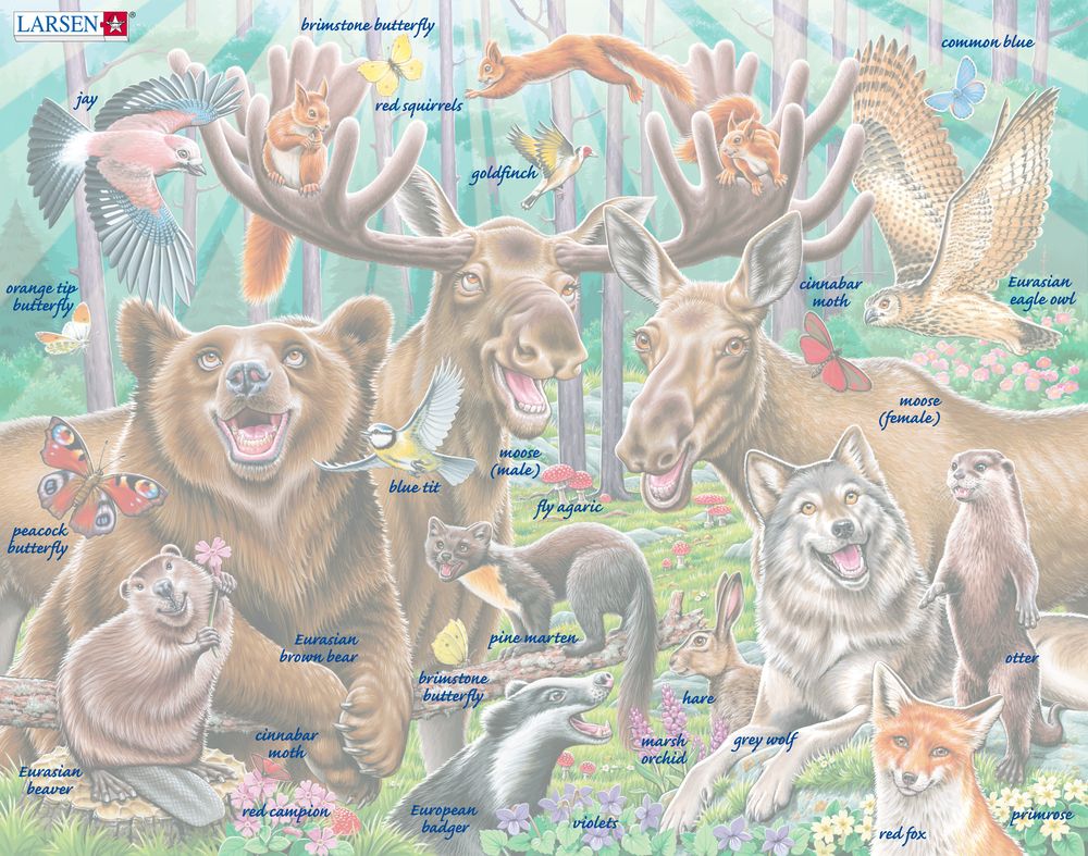 CZ2 - Happy Forest Selfie ()