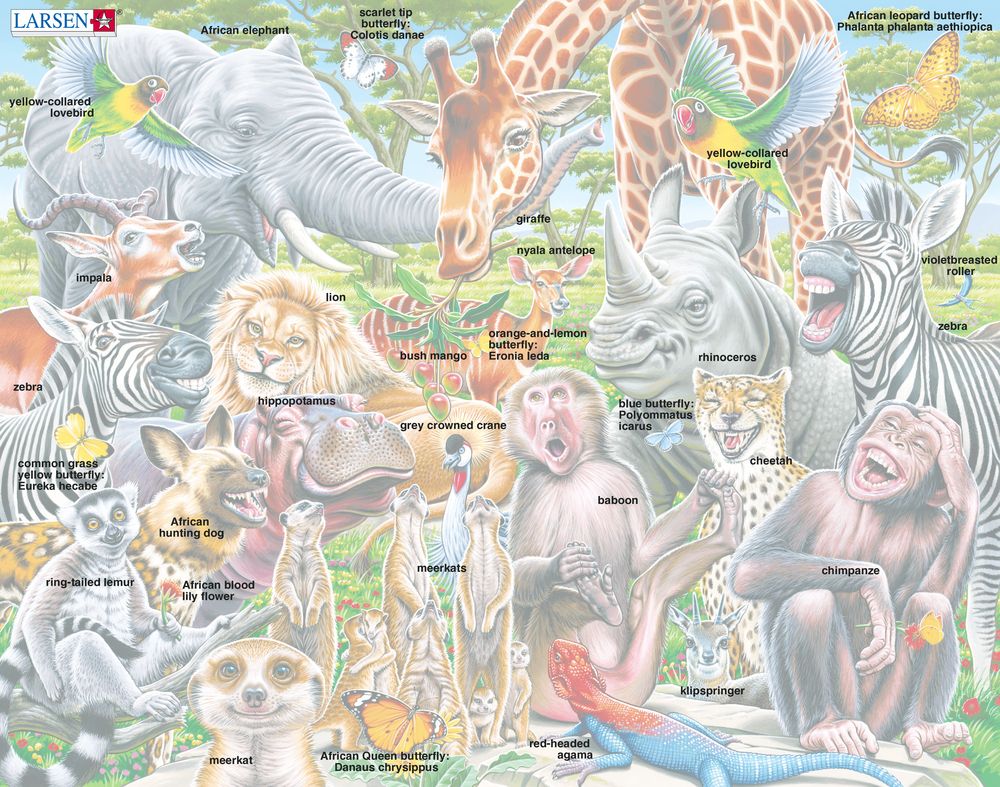 CZ3 - Selfie - Happy African animals ()