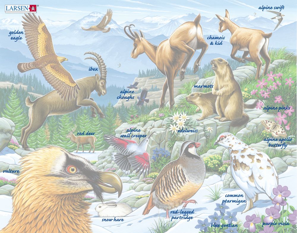 FH12 - Beautiful Scenery from the Alps ()