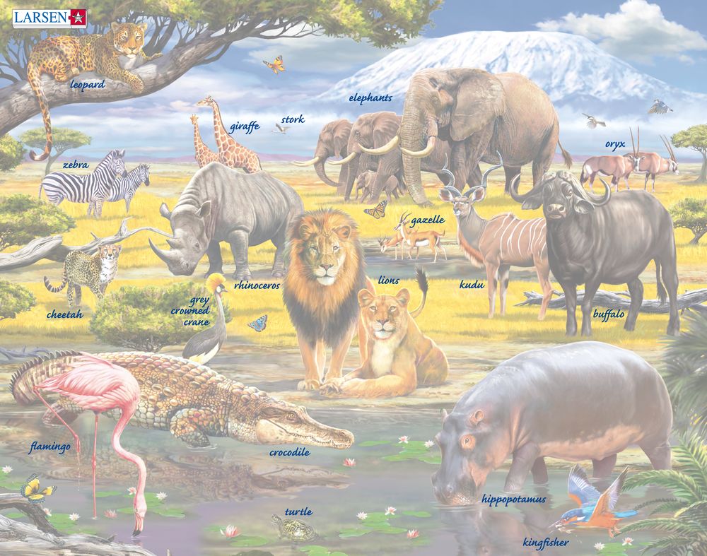 FH30 - African Savannah with Mount Kilimanjaro in the Background ()